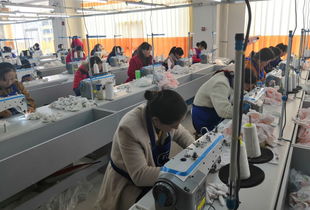 吴堡县社区工厂撬动易地搬迁群众就业致富 门路